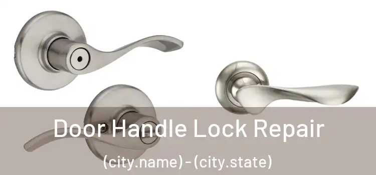 Door Handle Lock Repair (city.name) - (city.state)