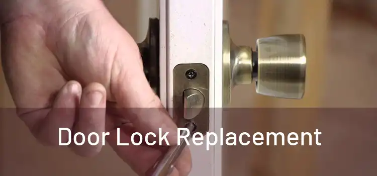  Door Lock Replacement 